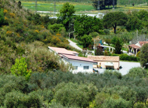 image5 Valle Menta