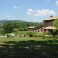 Santa Veronica