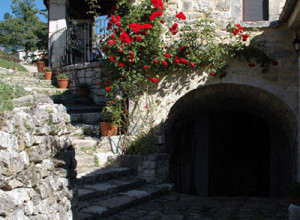 image2 Pietrantica 