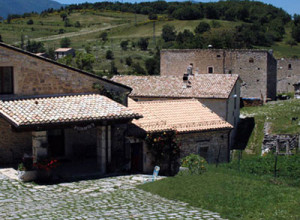 image4 Pietrantica 