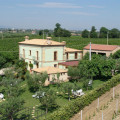 Villa Vetiche 
