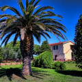 Agrimare I Pavoni
