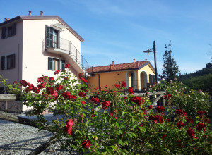 collina torre