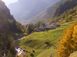 image8 Alle Baite