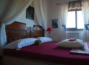 image19 Il Ripone Di Annibale