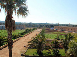 image2 Masseria Le Palme Salento