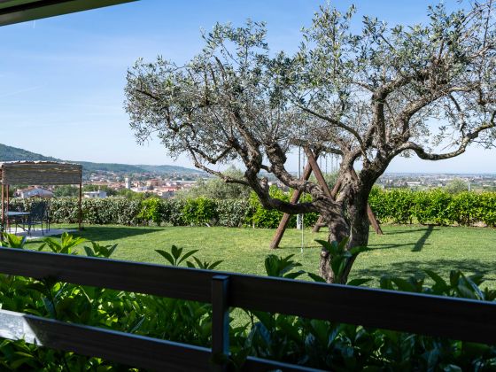 La Collinetta - foto 7