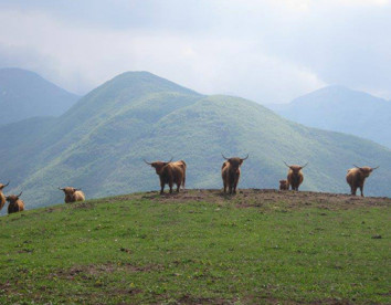 alpe di sara