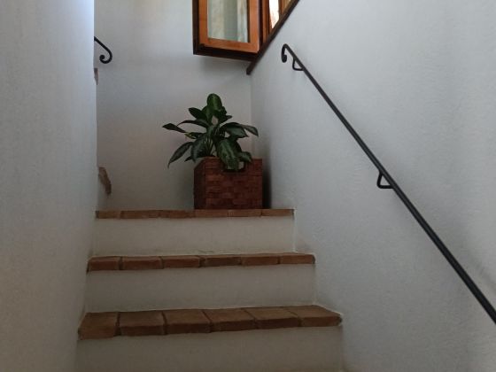 Circugnano - foto 23