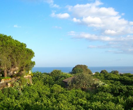 Ferienbauernhof Il Limoneto - Acireale