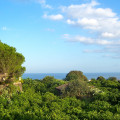 Il Limoneto