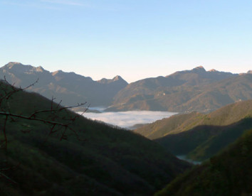 castagnola