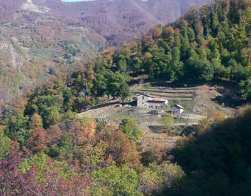 castagnola