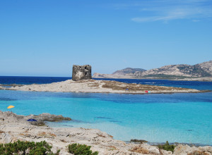 image8 Sara