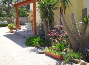 image7 Sara
