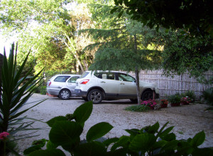 image0 Sara