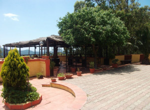 image5 Matteu