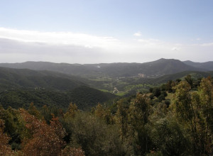 image18 Matteu