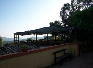 image1 Matteu