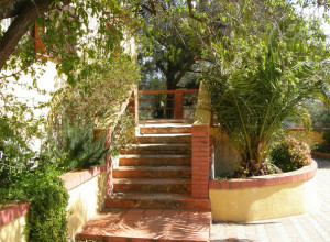 image17 Matteu