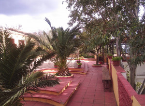 image11 Matteu