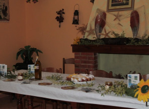 image9 Matteu