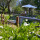 preview image1 giardino