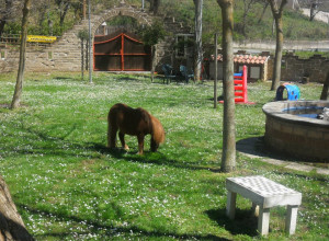 image6 La Sfruscià