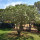 preview image5 esterno