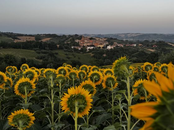Al Mandorlo — Week-end Romantico