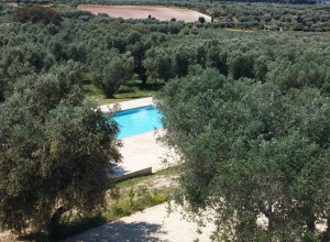 image0 Montevergine
