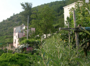 image0 Casa Pietrarosa