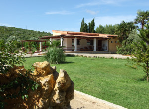 image6 Corallo