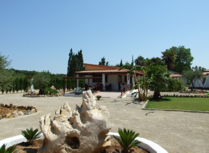 image3 Corallo