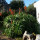 preview image10 giardino