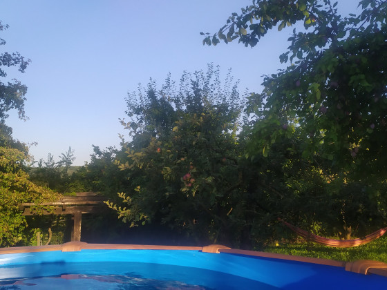 Naturin  foto esterno 3