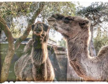 Educational Farm - La Fattoria, Otranto