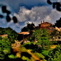 Barbugli