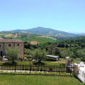 Il Vecchio Acero