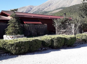image6 Il Timo