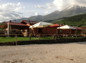 image4 Il Timo