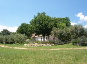 image5 Antica Tenuta