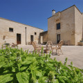 Limbitello
