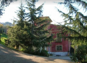 image15 I Tre Tigli