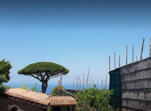 image10 Il Giardino Di Vigliano