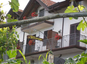 image5 Il Pettirosso