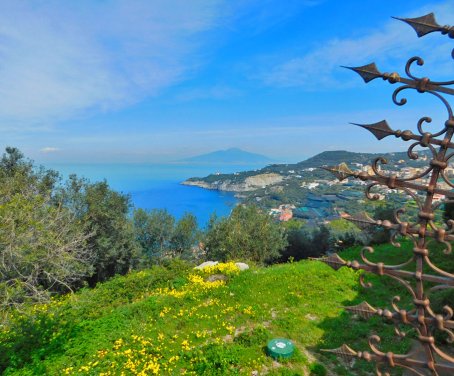 La Lobra  - Campania