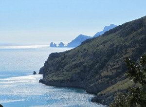 image8 La Lobra 