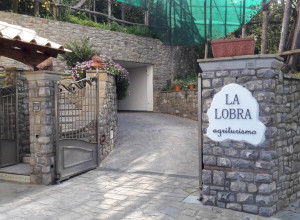 image7 La Lobra 
