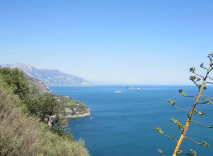 image15 La Lobra 